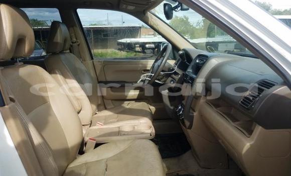 Buy New Honda CR–V White Car in Badagry in Lagos State Buy New Honda CR–V White Car in Badagry in Lagos State