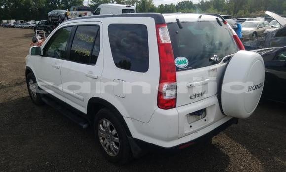Buy New Honda CR–V White Car in Badagry in Lagos State Buy New Honda CR–V White Car in Badagry in Lagos State
