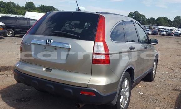 Acheter Neuf Voiture Honda CR–V Gris à Badagry, État de Lagos Acheter Neuf Voiture Honda CR–V Gris à Badagry, État de Lagos