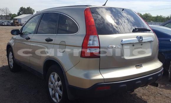 Acheter Neuf Voiture Honda CR–V Gris à Badagry, État de Lagos Acheter Neuf Voiture Honda CR–V Gris à Badagry, État de Lagos