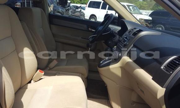 Acheter Neuf Voiture Honda CR–V Gris à Badagry, État de Lagos Acheter Neuf Voiture Honda CR–V Gris à Badagry, État de Lagos