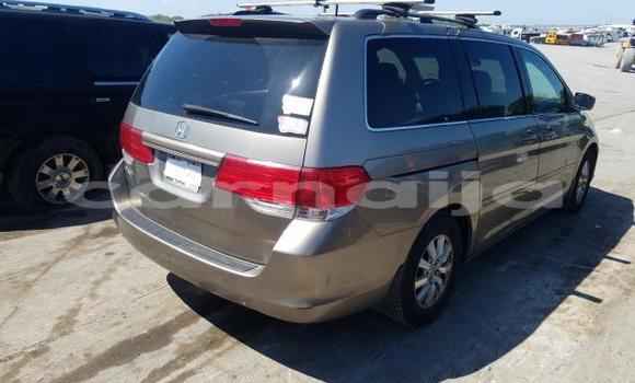 Buy New Honda Odyssey Silver Car in Badagry in Lagos State Buy New Honda Odyssey Silver Car in Badagry in Lagos State