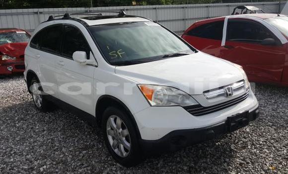 Acheter Neuf Voiture Honda CR–V Blanc à Lagos, État de Lagos Acheter Neuf Voiture Honda CR–V Blanc à Lagos, État de Lagos