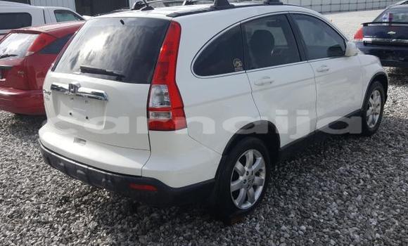Buy New Honda CR–V White Car in Lagos in Lagos State Buy New Honda CR–V White Car in Lagos in Lagos State
