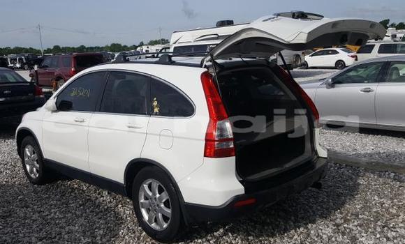 Buy New Honda CR–V White Car in Lagos in Lagos State Buy New Honda CR–V White Car in Lagos in Lagos State