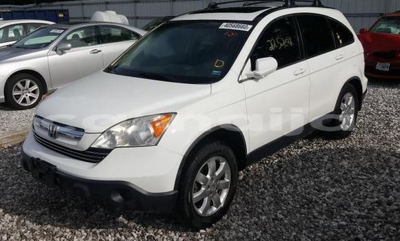 Buy New Honda CR–V White Car in Lagos in Lagos State Buy New Honda CR–V White Car in Lagos in Lagos State