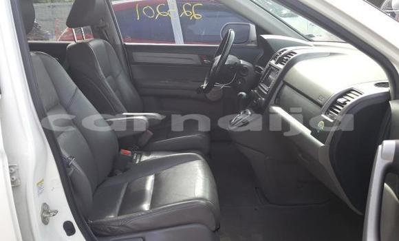 Buy New Honda CR–V White Car in Lagos in Lagos State Buy New Honda CR–V White Car in Lagos in Lagos State