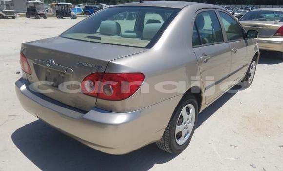 Buy New Toyota Corolla Beige Car in Lagos in Lagos State Buy New Toyota Corolla Beige Car in Lagos in Lagos State