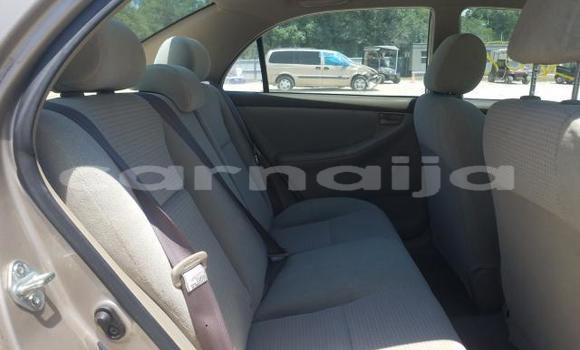 Buy New Toyota Corolla Beige Car in Lagos in Lagos State Buy New Toyota Corolla Beige Car in Lagos in Lagos State