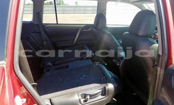 Buy New Toyota Highlander Red Car in Lagos in Lagos State Buy New Toyota Highlander Red Car in Lagos in Lagos State