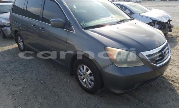Buy New Honda Odyssey Silver Car in Lagos in Lagos State