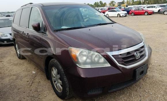 Buy New Honda Odyssey Red Car in Lagos in Lagos State