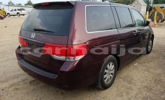 Buy New Honda Odyssey Red Car in Lagos in Lagos State Buy New Honda Odyssey Red Car in Lagos in Lagos State