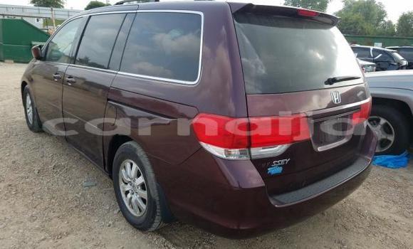 Buy New Honda Odyssey Red Car in Lagos in Lagos State Buy New Honda Odyssey Red Car in Lagos in Lagos State