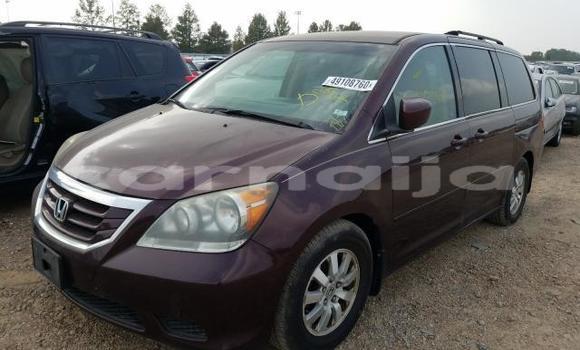 Buy New Honda Odyssey Red Car in Lagos in Lagos State Buy New Honda Odyssey Red Car in Lagos in Lagos State