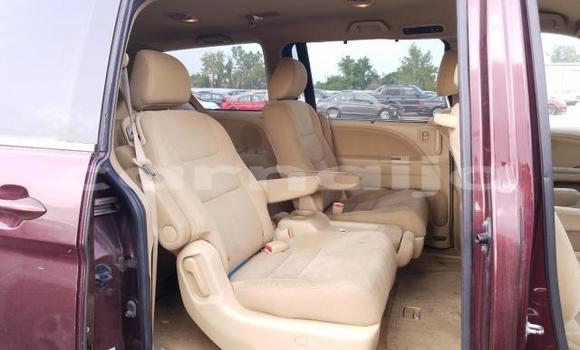 Buy New Honda Odyssey Red Car in Lagos in Lagos State Buy New Honda Odyssey Red Car in Lagos in Lagos State