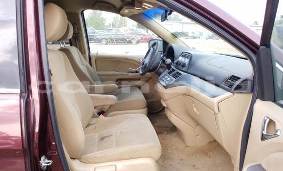 Buy New Honda Odyssey Red Car in Lagos in Lagos State Buy New Honda Odyssey Red Car in Lagos in Lagos State