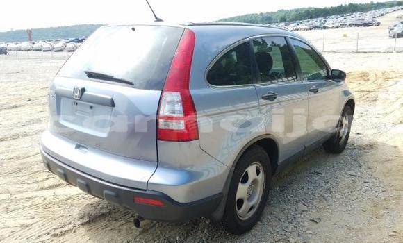 Acheter Neuf Voiture Honda CR–V Gris à Lagos, État de Lagos Acheter Neuf Voiture Honda CR–V Gris à Lagos, État de Lagos