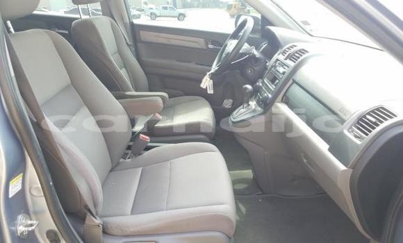 Acheter Neuf Voiture Honda CR–V Gris à Lagos, État de Lagos Acheter Neuf Voiture Honda CR–V Gris à Lagos, État de Lagos