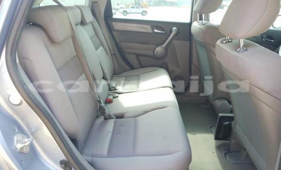 Acheter Neuf Voiture Honda CR–V Gris à Lagos, État de Lagos Acheter Neuf Voiture Honda CR–V Gris à Lagos, État de Lagos