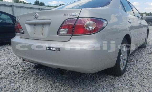 Acheter Neuf Voiture Lexus ES 300 Gris à Badagry, État de Lagos Acheter Neuf Voiture Lexus ES 300 Gris à Badagry, État de Lagos