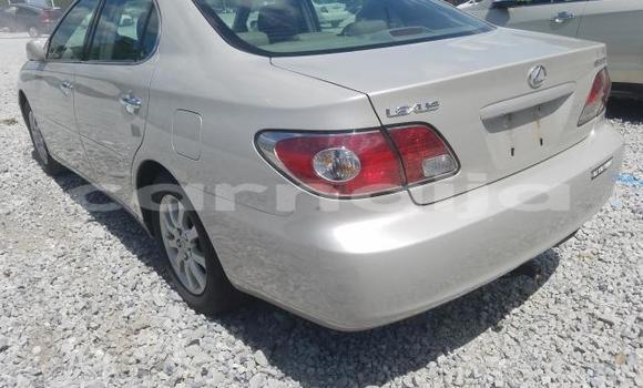 Acheter Neuf Voiture Lexus ES 300 Gris à Badagry, État de Lagos Acheter Neuf Voiture Lexus ES 300 Gris à Badagry, État de Lagos