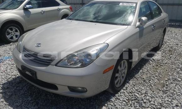 Acheter Neuf Voiture Lexus ES 300 Gris à Badagry, État de Lagos Acheter Neuf Voiture Lexus ES 300 Gris à Badagry, État de Lagos