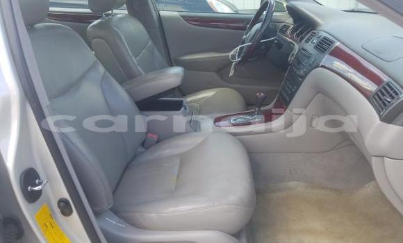 Acheter Neuf Voiture Lexus ES 300 Gris à Badagry, État de Lagos Acheter Neuf Voiture Lexus ES 300 Gris à Badagry, État de Lagos
