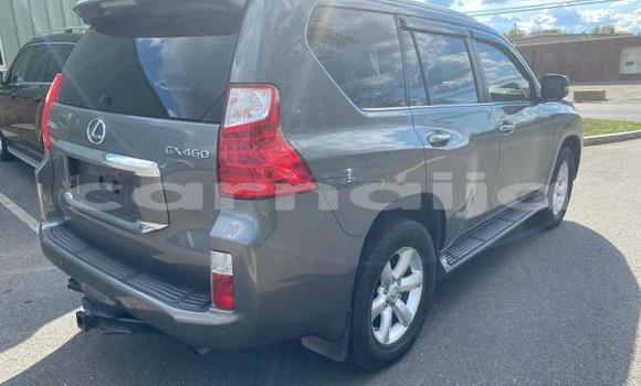 Buy New Lexus GX Silver Car in Badagry in Lagos State Buy New Lexus GX Silver Car in Badagry in Lagos State