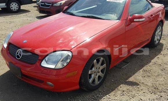 Buy New Mercedes-Benz SLK–Class Red Car in Badagry in Lagos State Buy New Mercedes-Benz SLK–Class Red Car in Badagry in Lagos State