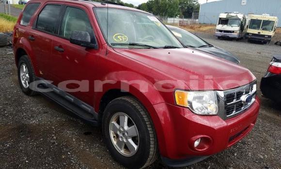 Buy New Ford Escape Red Car in Badagry in Lagos State