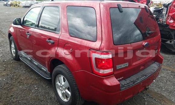 Acheter Neuf Voiture Ford Escape Rouge à Badagry, État de Lagos Acheter Neuf Voiture Ford Escape Rouge à Badagry, État de Lagos