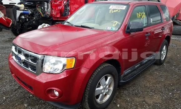 Acheter Neuf Voiture Ford Escape Rouge à Badagry, État de Lagos Acheter Neuf Voiture Ford Escape Rouge à Badagry, État de Lagos