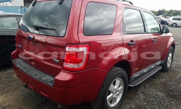Acheter Neuf Voiture Ford Escape Rouge à Badagry, État de Lagos Acheter Neuf Voiture Ford Escape Rouge à Badagry, État de Lagos