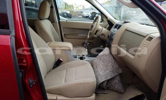 Acheter Neuf Voiture Ford Escape Rouge à Badagry, État de Lagos Acheter Neuf Voiture Ford Escape Rouge à Badagry, État de Lagos