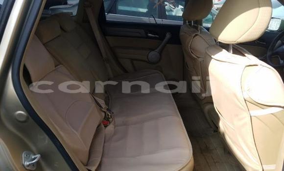 Buy New Honda CR–V Silver Car in Badagry in Lagos State Buy New Honda CR–V Silver Car in Badagry in Lagos State