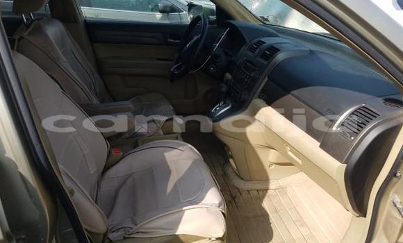 Buy New Honda CR–V Silver Car in Badagry in Lagos State Buy New Honda CR–V Silver Car in Badagry in Lagos State
