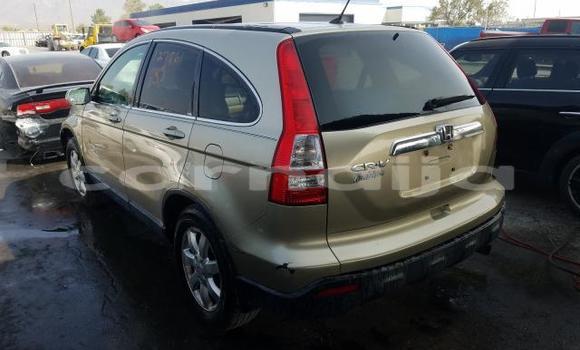 Buy New Honda CR–V Silver Car in Badagry in Lagos State Buy New Honda CR–V Silver Car in Badagry in Lagos State