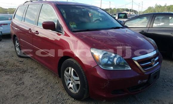 Buy New Honda Odyssey Red Car in Badagry in Lagos State