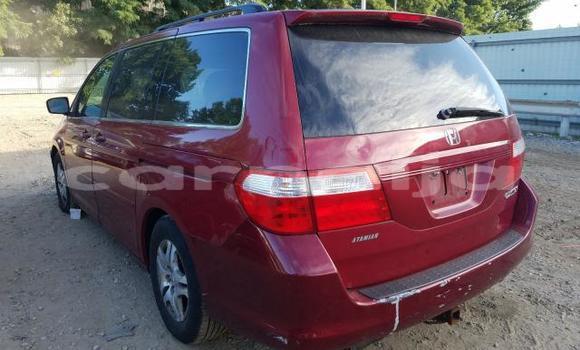 Acheter Neuf Voiture Honda Odyssey Rouge à Badagry, État de Lagos Acheter Neuf Voiture Honda Odyssey Rouge à Badagry, État de Lagos