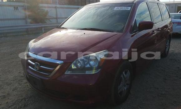Acheter Neuf Voiture Honda Odyssey Rouge à Badagry, État de Lagos Acheter Neuf Voiture Honda Odyssey Rouge à Badagry, État de Lagos