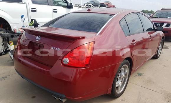 Buy New Nissan Maxima Red Car in Badagry in Lagos State Buy New Nissan Maxima Red Car in Badagry in Lagos State