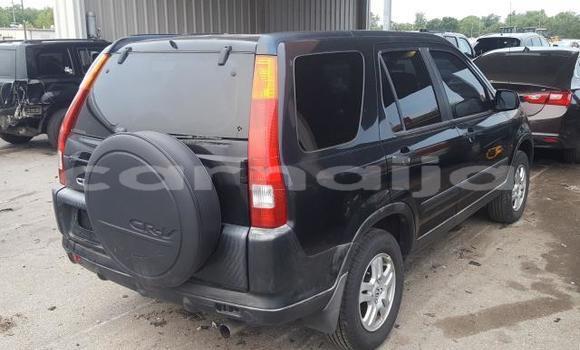 Buy New Honda CR–V Black Car in Badagry in Lagos State Buy New Honda CR–V Black Car in Badagry in Lagos State