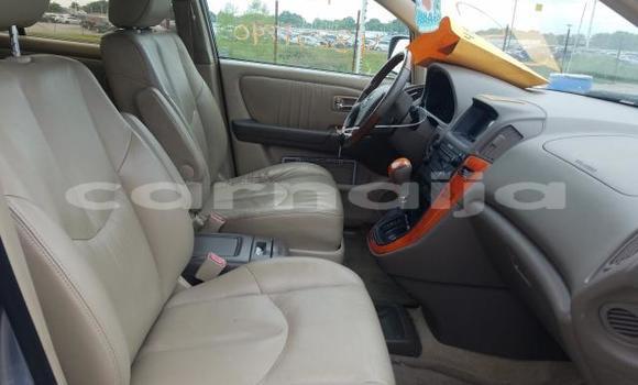 Acheter Neuf Voiture Lexus RX 300 Gris à Badagry, État de Lagos Acheter Neuf Voiture Lexus RX 300 Gris à Badagry, État de Lagos