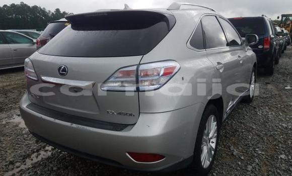 Acheter Neuf Voiture Lexus RX Gris à Badagry, État de Lagos Acheter Neuf Voiture Lexus RX Gris à Badagry, État de Lagos