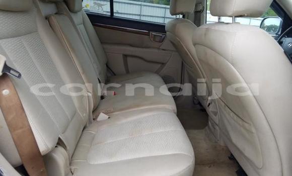 Buy New Hyundai Santa Fe Blue Car in Badagry in Lagos State Buy New Hyundai Santa Fe Blue Car in Badagry in Lagos State