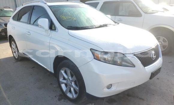 Buy New Lexus RX White Car in Badagry in Lagos State
