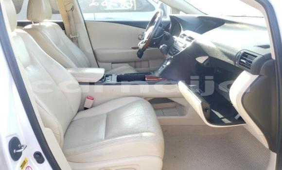Buy New Lexus RX White Car in Badagry in Lagos State Buy New Lexus RX White Car in Badagry in Lagos State