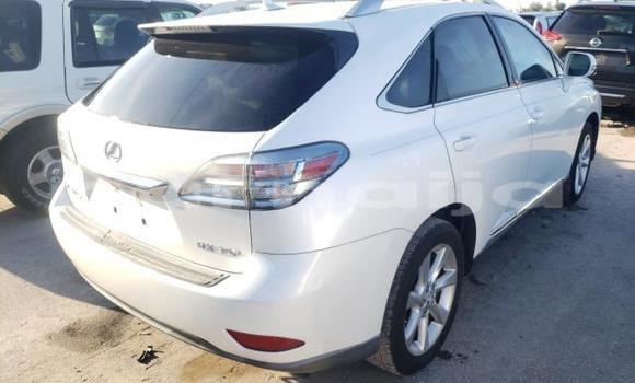 Buy New Lexus RX White Car in Badagry in Lagos State Buy New Lexus RX White Car in Badagry in Lagos State