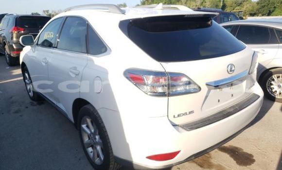 Buy New Lexus RX White Car in Badagry in Lagos State Buy New Lexus RX White Car in Badagry in Lagos State